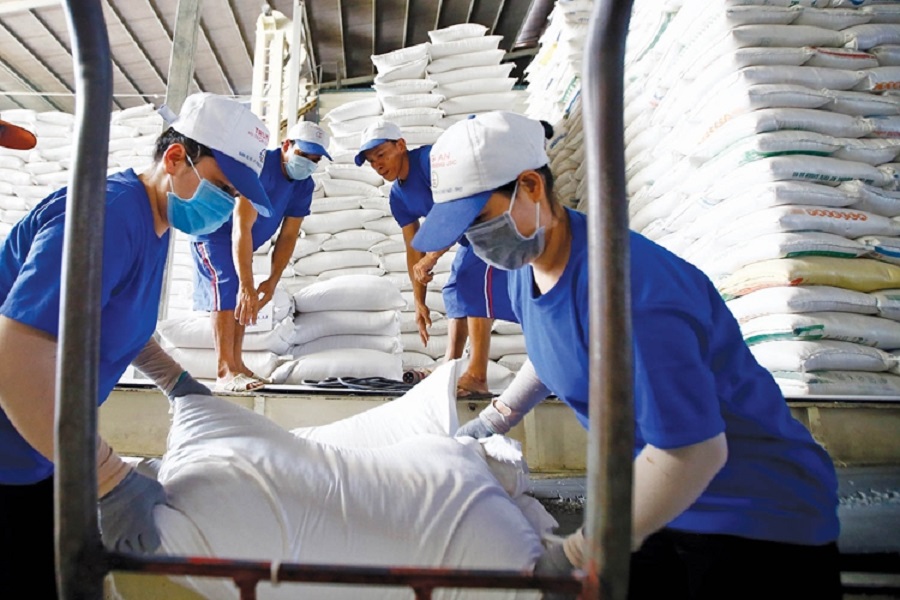 Philippines đột ngột dừng nhập khẩu gạo, Việt Nam có bị ảnh hưởng?