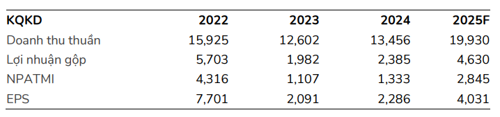 BSC dự phóng kết quả kinh doanh năm 2025 của DCM