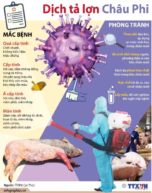 Pano tuyên truyền về phòng, chống dịch tả lợn châu Phi.