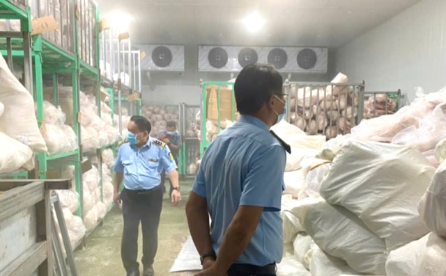 Gia Lai: Phát hiện hàng nghìn con heo đông lạnh chưa rõ nguồn gốc, xuất xứ trong cơ sở giết mổ