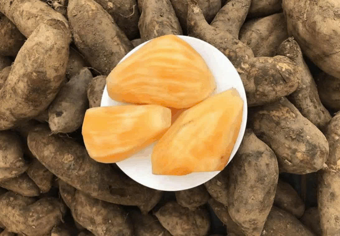 Loại củ bình dân, dễ mua ở chợ Việt hóa ra lại sở hữu công dụng tuyệt vời