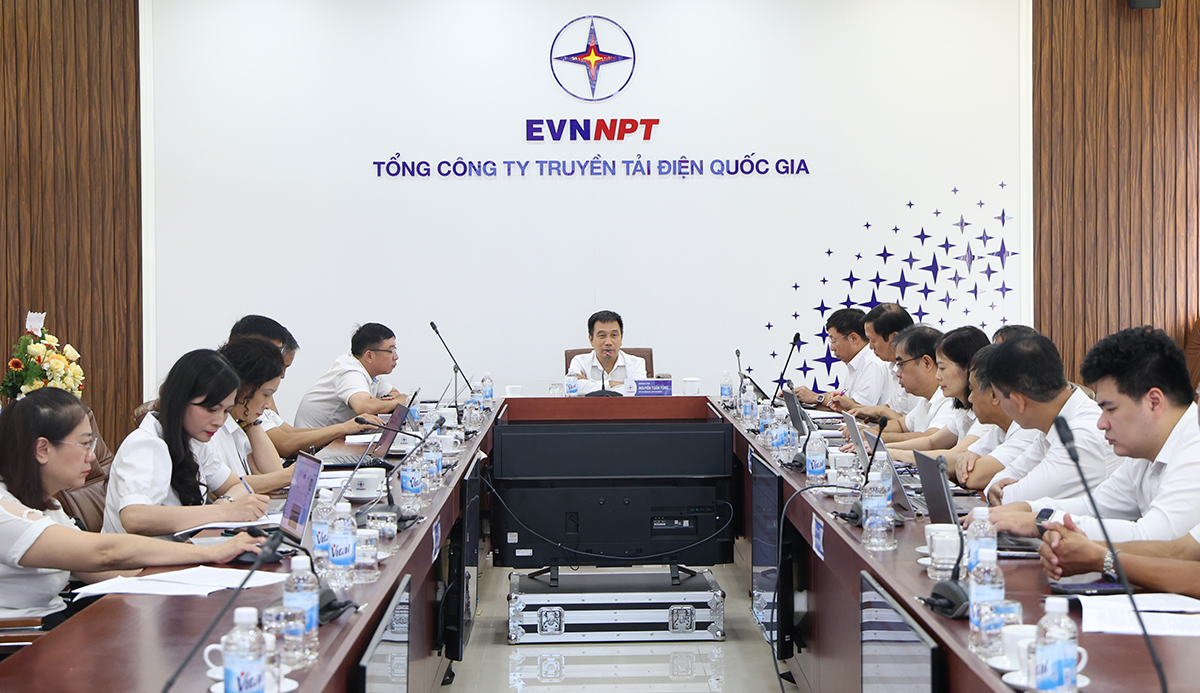 Đồng chí Nguyễn Tuấn Tùng – Bí thư Đảng ủy, Chủ tịch HĐTV EVNNPT kết luận tại buổi làm việc
