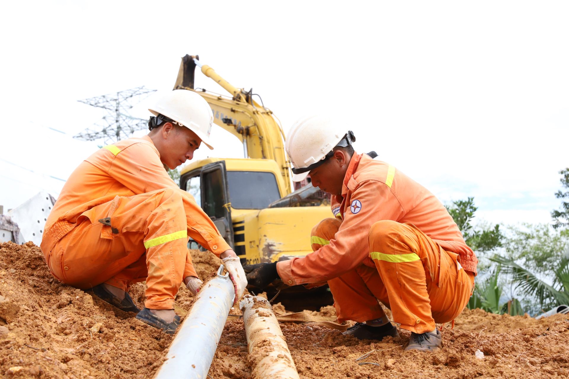 CBCNV PTC3 nhanh chóng tiếp nhận nhiệm vụ và bắt tay ngay vào công việc CBCNV PTC3 nhanh chóng tiếp nhận nhiệm vụ và bắt tay ngay vào công việc