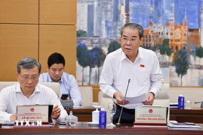 Chủ nhiệm Ủy ban Dân nguyện và Giám sát của Quốc hội Dương Thanh Bình trình bày tóm tắt báo cáo. (Ảnh: Doãn Tấn/TTXVN)