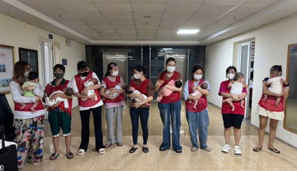 Ninh Bình triệt phá đường dây mang thai thuê xuyên quốc gia, giải cứu 11 trẻ sơ sinh