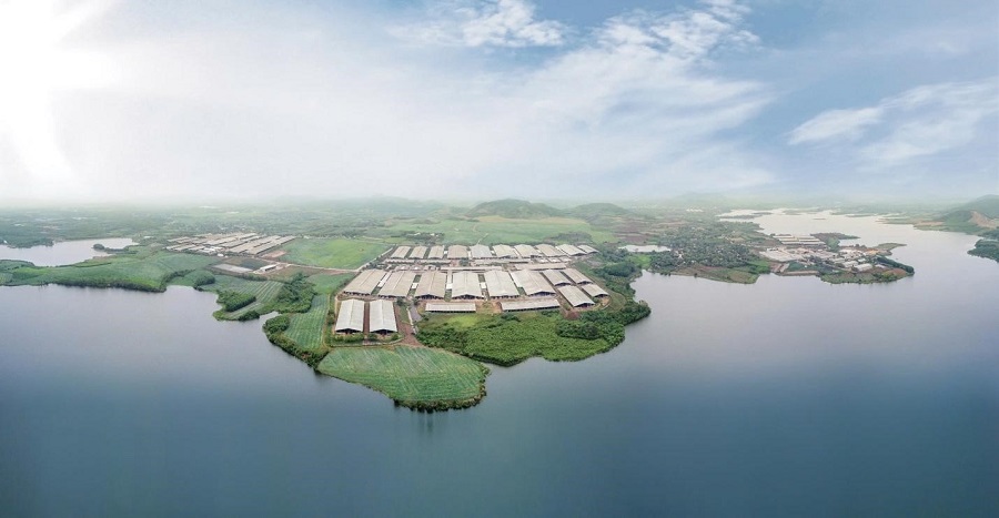 TH sở hữu Cụm trang trại bò sữa tập trung công nghệ cao, khép kín lớn nhất thế giới tại Nghệ An. TH sở hữu Cụm trang trại bò sữa tập trung công nghệ cao, khép kín lớn nhất thế giới tại Nghệ An.