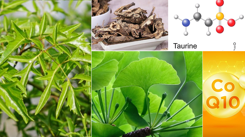 Một số thảo dược và dưỡng chất tốt cho trẻ tăng động giảm chú ý Một số thảo dược và dưỡng chất tốt cho trẻ tăng động giảm chú ý