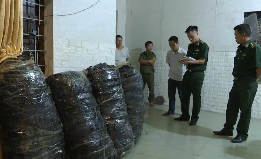 Lực lượng chức năng thu giữ thêm 125kg cần sa khô tại phòng trọ của Phạm Ngọc Duy.