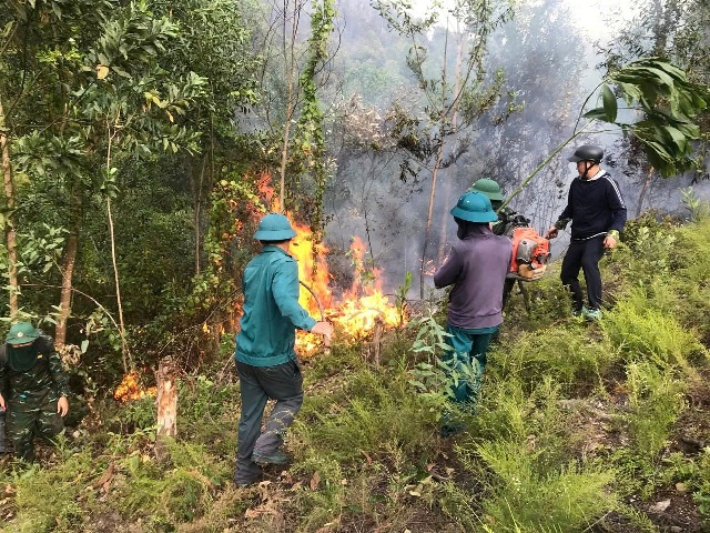 Nguyên nhân vụ cháy ban đầu được xác định do sét đánh tạo tia lửa.
