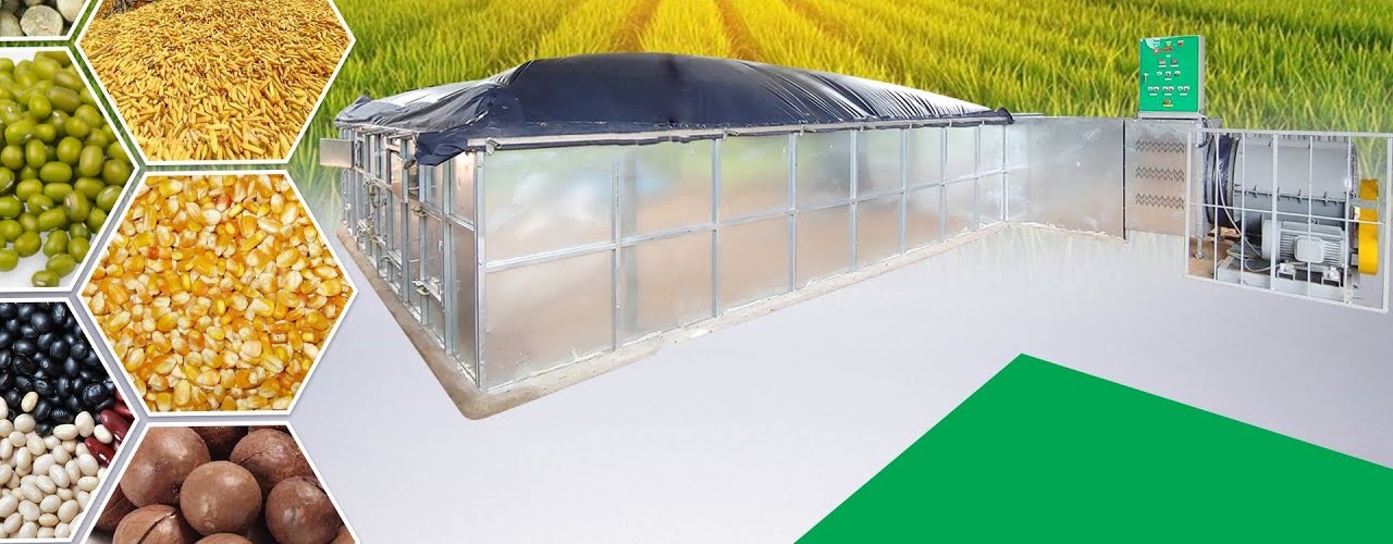 Ảnh minh họa, nguồn internet.