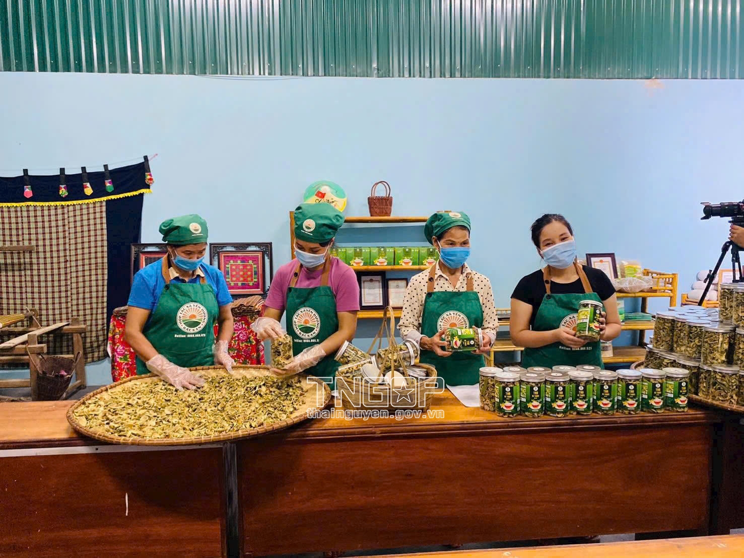 HTX Yến Dương tại xã Thượng Minh chế biến các sản phẩm từ bí xanh để nâng cao giá trị nông sản địa phương HTX Yến Dương tại xã Thượng Minh chế biến các sản phẩm từ bí xanh để nâng cao giá trị nông sản địa phương