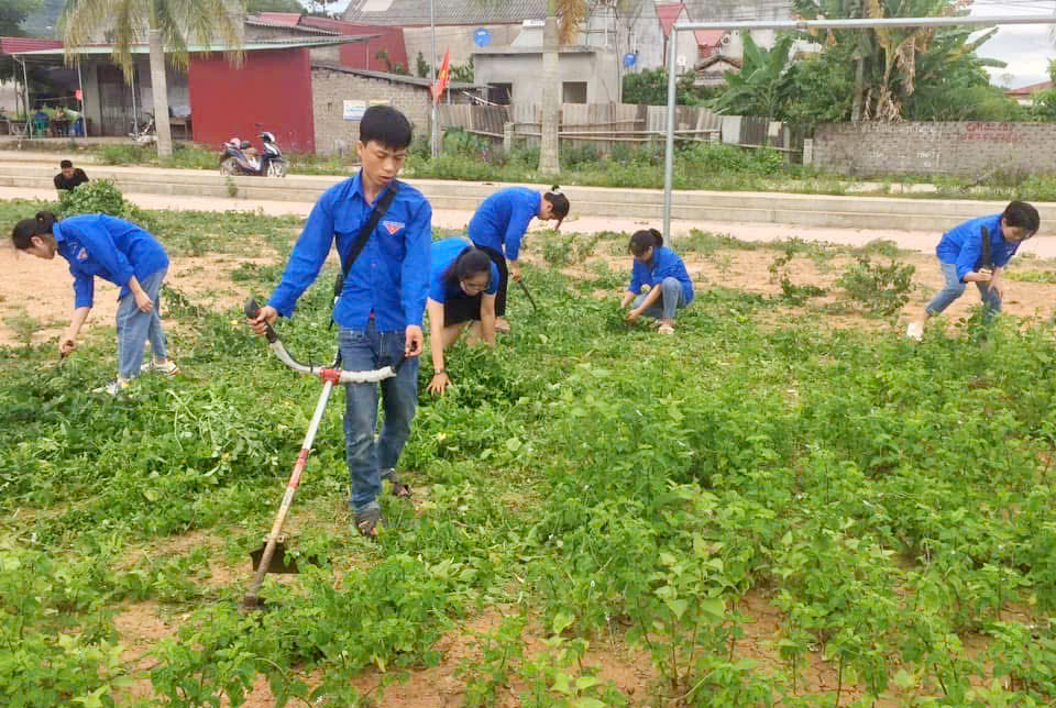 Bắc Ninh tăng cường phòng, chống bệnh Chikungunya và các bệnh truyền qua muỗi khác