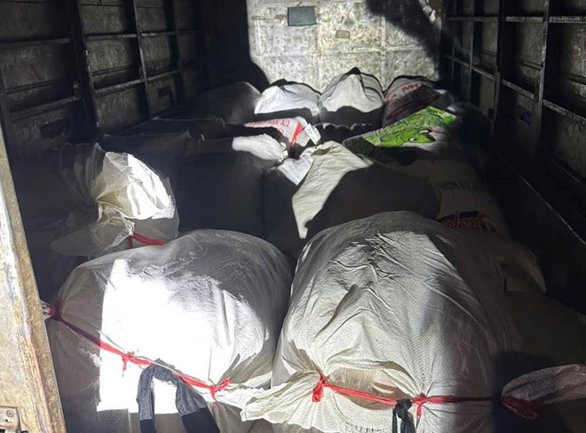 Làm việc với công an, tài xế M.C.P (39 tuổi, ngụ Đồng Nai) không xuất trình được giấy tờ chứng minh nguồn gốc số hàng trên. Lực lượng CSGT đã lập biên bản ban đầu vụ việc, bàn giao người và tang vật cho Công an xã Hưng Thịnh tiếp tục điều tra, xử lý theo quy định. Làm việc với công an, tài xế M.C.P (39 tuổi, ngụ Đồng Nai) không xuất trình được giấy tờ chứng minh nguồn gốc số hàng trên. Lực lượng CSGT đã lập biên bản ban đầu vụ việc, bàn giao người và tang vật cho Công an xã Hưng Thịnh tiếp tục điều tra, xử lý theo quy định.