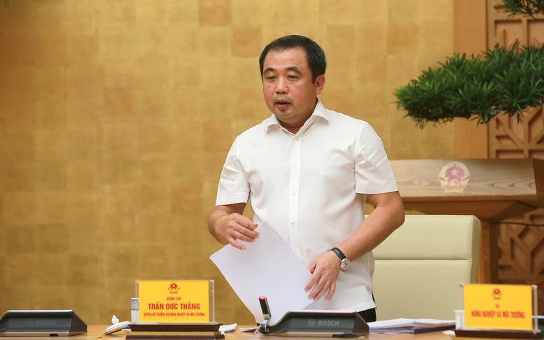 Quyền Bộ trưởng Bộ Nông nghiệp và Môi trường Trần Đức Thắng báo cáo tại cuộc họp - Ảnh: VGP/Minh Khôi Quyền Bộ trưởng Bộ Nông nghiệp và Môi trường Trần Đức Thắng báo cáo tại cuộc họp - Ảnh: VGP/Minh Khôi