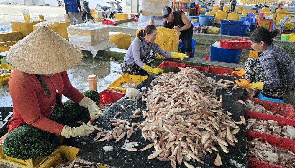 Tăng cường kiểm tra, giám sát hoạt động của cảng cá tư nhân. Tăng cường kiểm tra, giám sát hoạt động của cảng cá tư nhân.