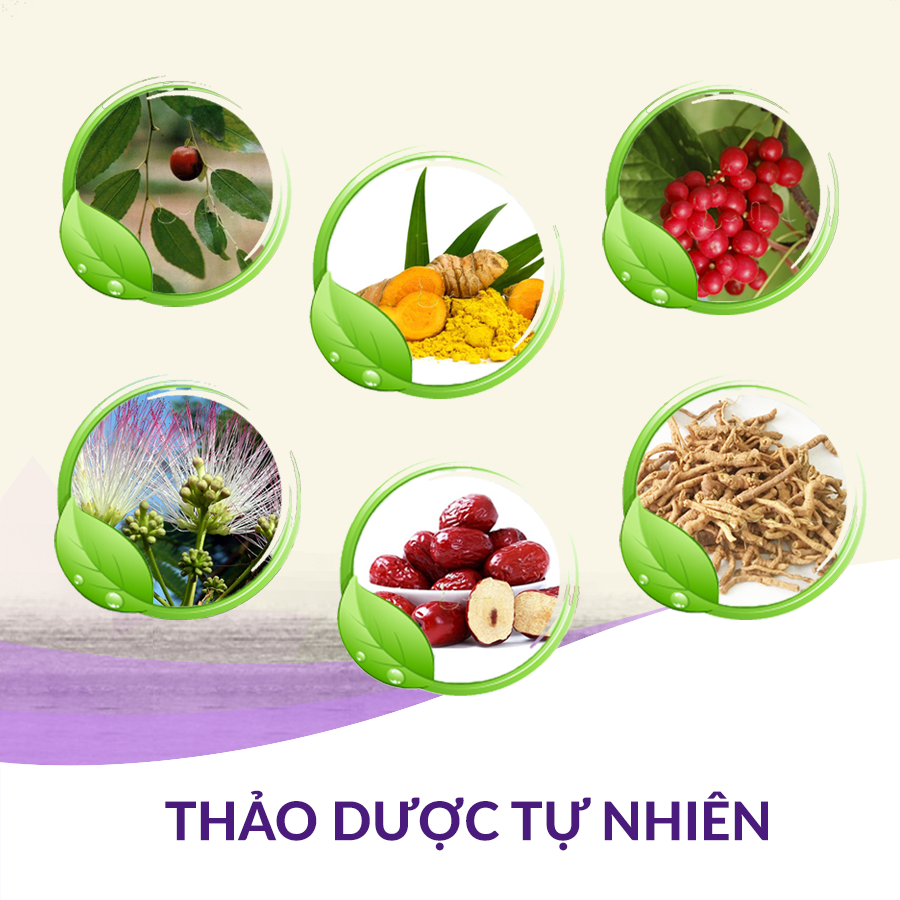 Các thảo dược hỗ trợ giúp dưỡng tâm, an thần, ngủ ngon
