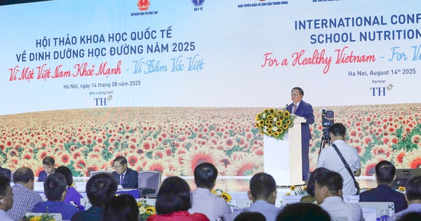 Dinh dưỡng học đường: Chiến lược đầu tư quốc gia cho tương lai Việt Nam