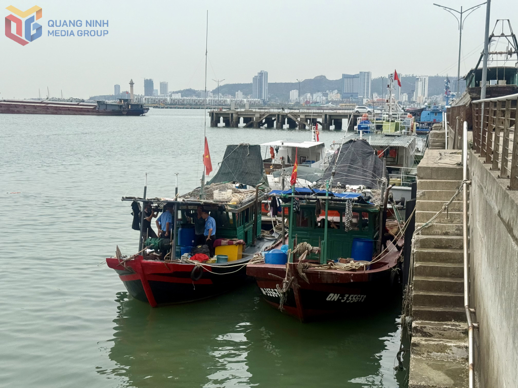 T&agrave;u c&aacute; biển kiểm so&aacute;t QN-3556 v&agrave; QN-3407 vừa bị lực lượng chức năng của tỉnh ph&aacute;t hiện, xử l&yacute; về h&agrave;nh vi sử dụng c&ocirc;ng cụ cấm khai th&aacute;c thủy sản.