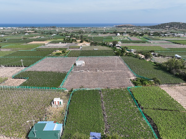 Thôn Thái An, phường Ninh Chữ (huyện Ninh Hải cũ), nơi xây dựng Nhà máy Điện hạt nhân Ninh Thuận 2