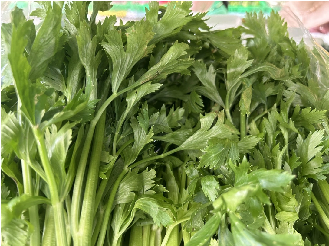 Thảo dược cần tây được ứng dụng sản xuất sản phẩm hỗ trợ hạ và ổn định huyết áp