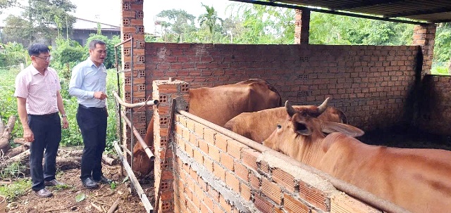 Vốn vay từ NHCS giúp hộ nghèo phát triển kinh tế hộ gia đình tại Đắk Lắk Vốn vay từ NHCS giúp hộ nghèo phát triển kinh tế hộ gia đình tại Đắk Lắk