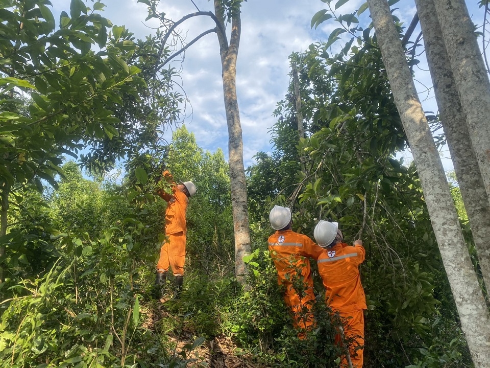 Công nhân quản lý vận hành đường dây chặt tỉa cây để đảm bảo hành lang an toàn lưới điện tại Thái Nguyên