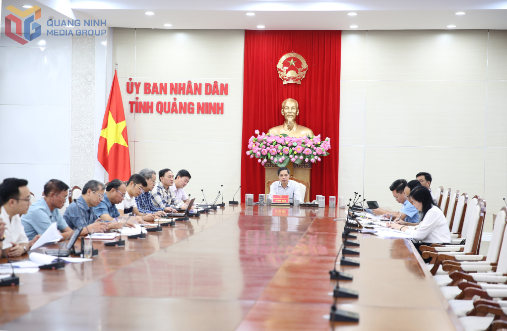 Ông Vũ Văn Diện, Phó Chủ tịch Thường trực UBND tỉnh Quảng Ninh, phát biểu chỉ đạo tại cuộc họp.