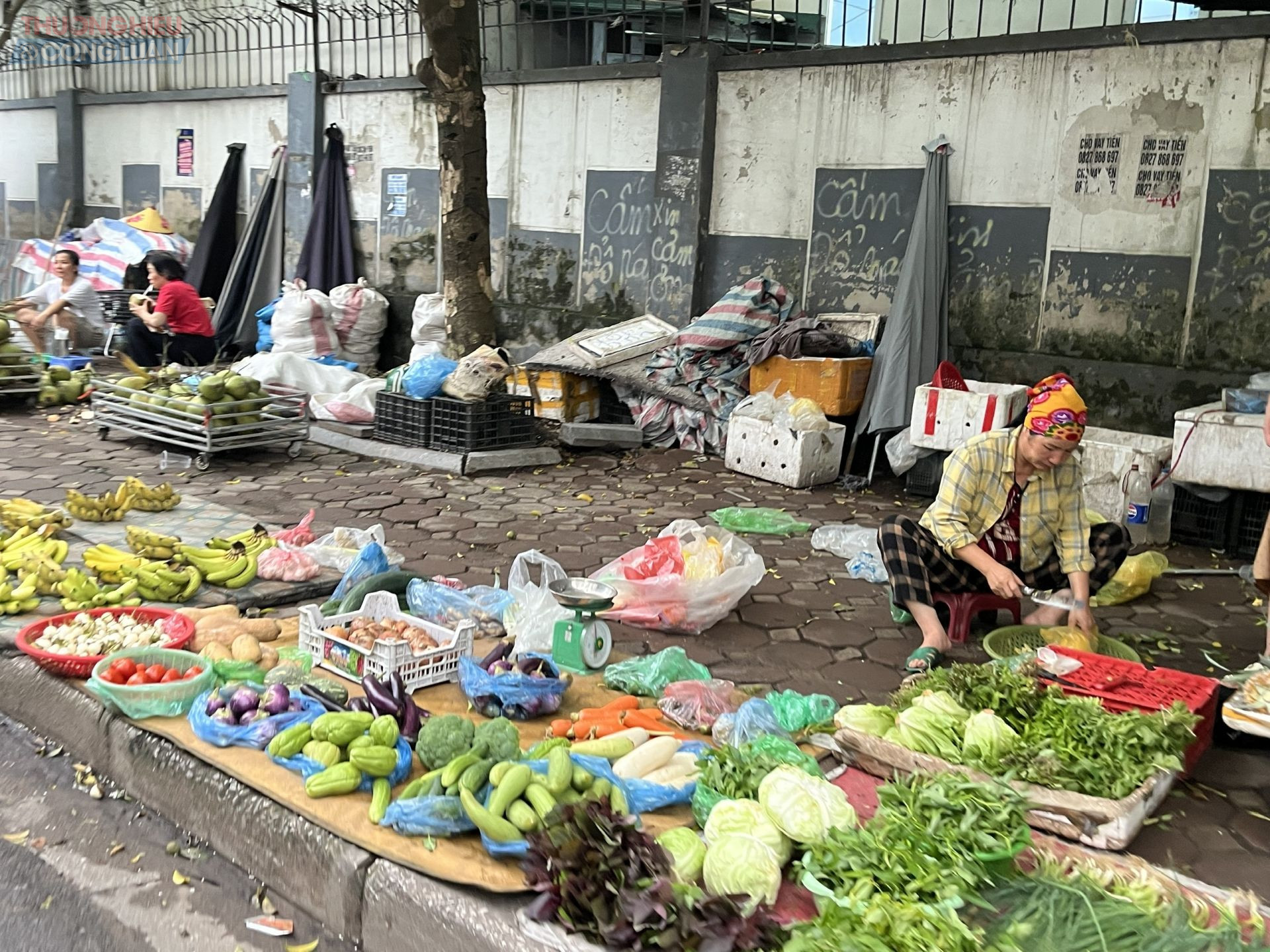 Tuy nhiên, nhiều ý kiến cho rằng Hà Nội cần đẩy mạnh hơn nữa công tác tuyên truyền, vận động người dân nâng cao ý thức chấp hành quy định về trật tự đô thị. Đồng thời, chính quyền cũng nên triển khai các chính sách hỗ trợ chuyển đổi, tạo điều kiện để các cá nhân, hộ kinh doanh tại các điểm chợ tự phát có thể tiếp tục buôn bán ổn định trong các chợ truyền thống hoặc được bố trí tại những khu vực phù hợp, thuận lợi, vừa đảm bảo sinh kế, vừa giữ gìn mỹ quan đô thị.