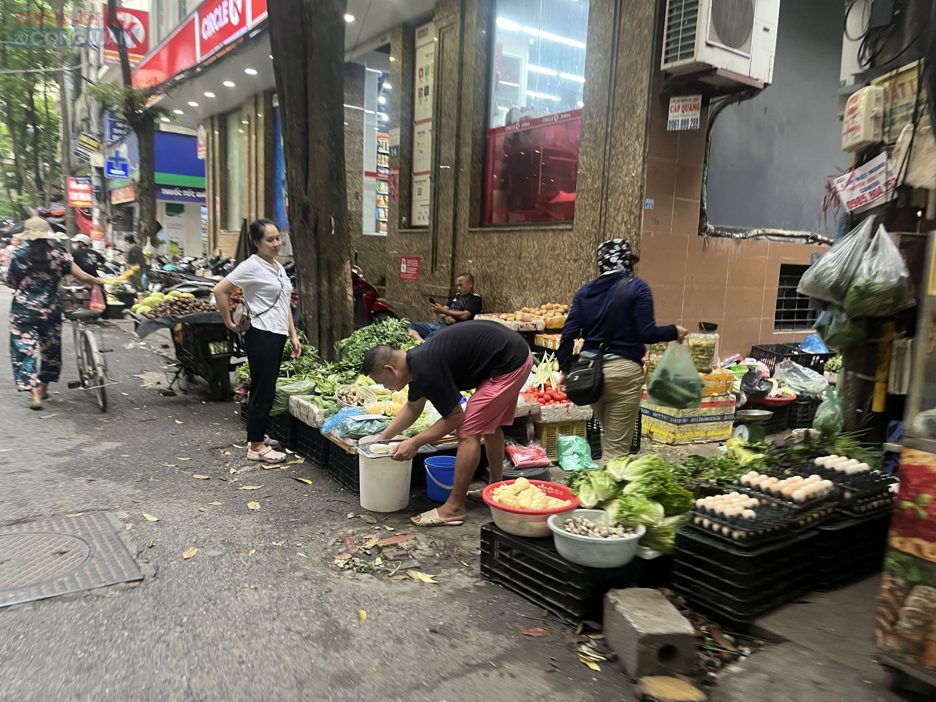 Theo thống kê của Sở Công Thương Hà Nội, hiện nay, trên địa bàn có 85 “chợ tạm”, “chợ cóc” đang hoạt động trên các tuyến đường và các khu dân cư. Ngoài việc gây ảnh hưởng đến hiệu quả hoạt động của chợ chính, các “chợ tạm”, “chợ cóc” cũng là tác nhân không nhỏ dẫn đến tình trạng lấn chiếm lòng đường, vỉa hè làm nơi kinh doanh, gây cản trở, mất an toàn giao thông, mỹ quan đô thị, vệ sinh môi trường…