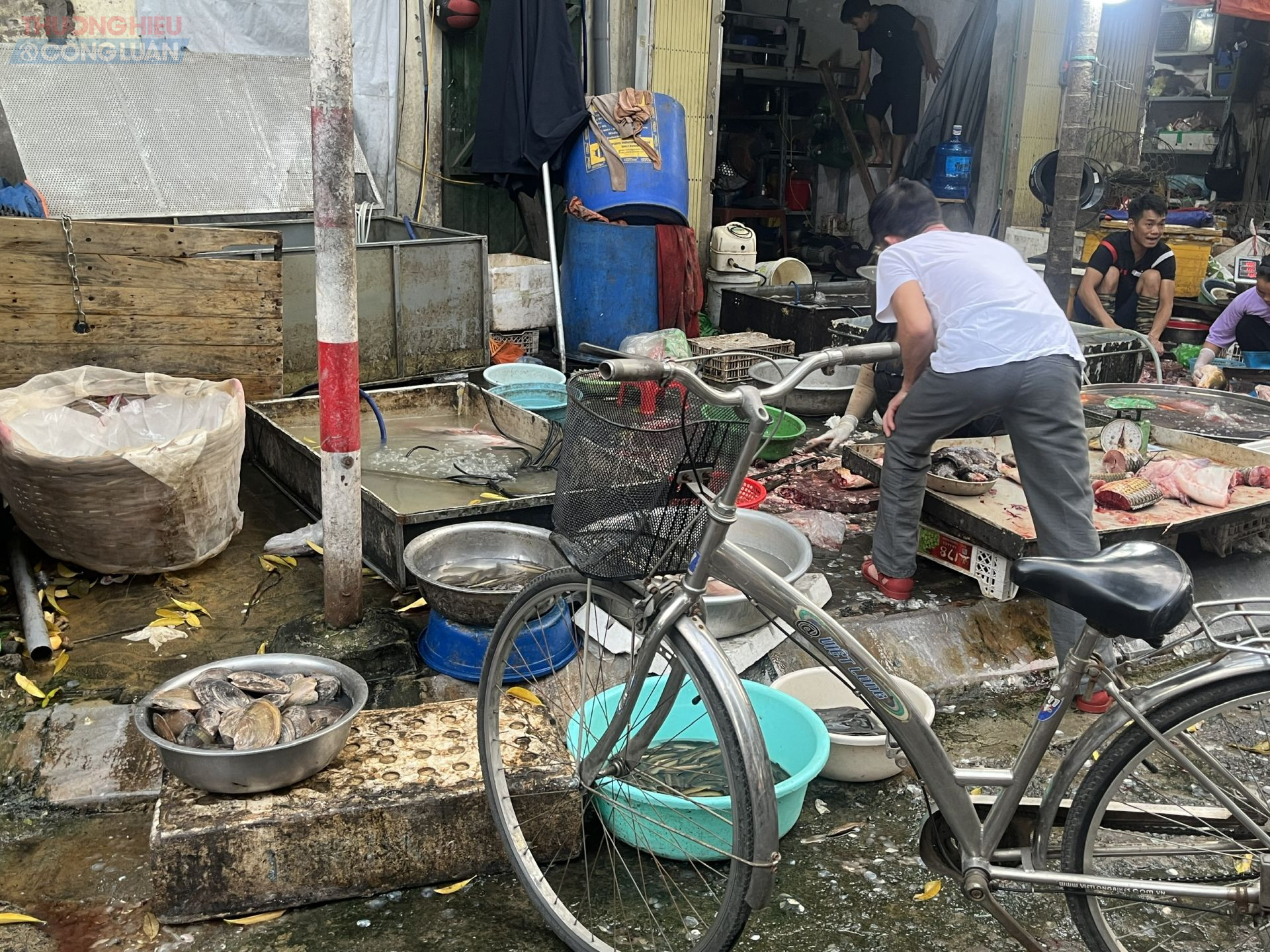 Không chỉ bày hàng hóa tràn xuống lòng đường, các hộ kinh doanh còn bày bán gia cầm sống, cá, hải sản ngay trên vỉa hè.