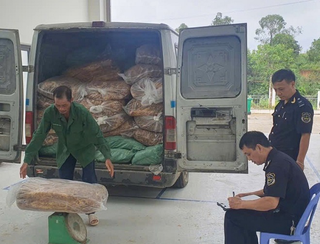 Lực lượng Hải quan kiểm đếm số nguyên liệu thuốc lá