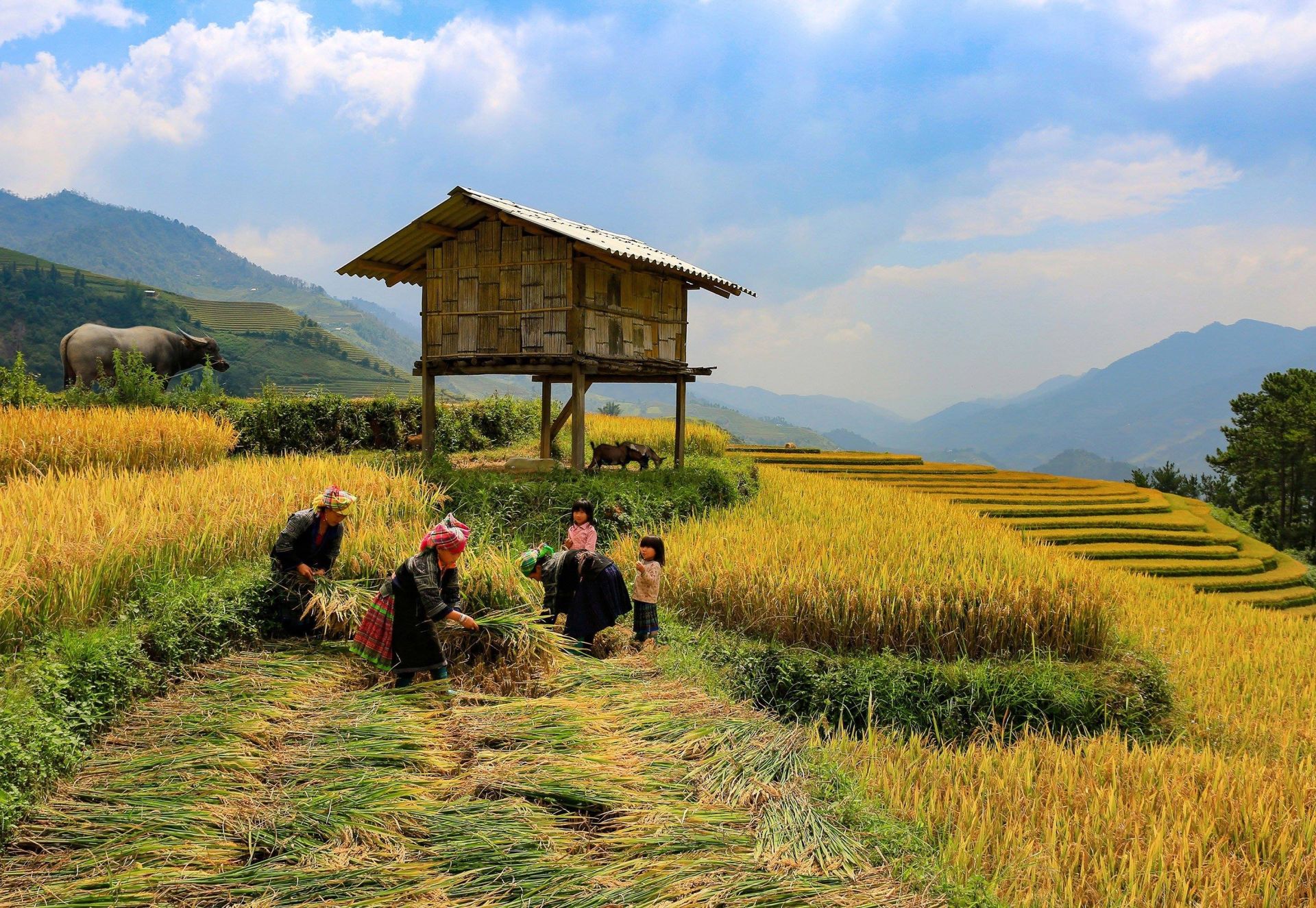 Lào Cai: Tiếp tục phát huy hiệu quả Chương trình mục tiêu quốc gia phát triển KT-XH vùng đồng bào dân tộc thiểu số và miền núi