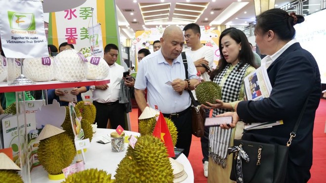 Tại VIS 2025, nhóm ngành nông sản, đặc biệt là trái cây, được các doanh nghiệp Trung Quốc quan tâm đặc biệt Tại VIS 2025, nhóm ngành nông sản, đặc biệt là trái cây, được các doanh nghiệp Trung Quốc quan tâm đặc biệt