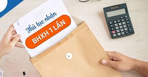 Ảnh VGP. Ảnh VGP.