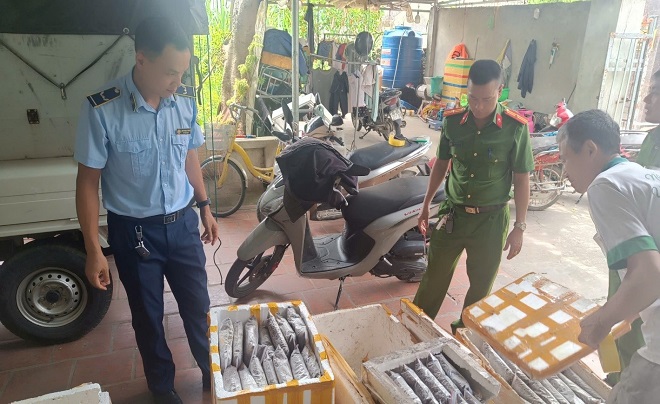 Gần 1,2 tấn côn trùng, động vật bốc mùi bị phát hiện tại Thanh Hóa