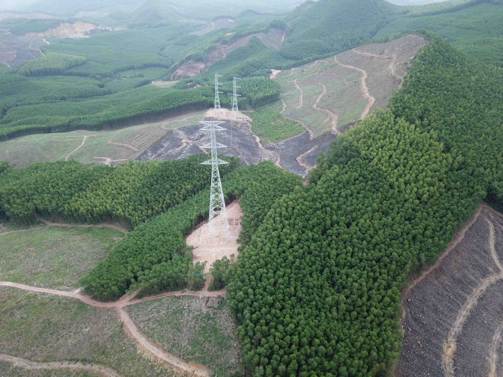 Ảnh minh họa, nguồn internet. Ảnh minh họa, nguồn internet.