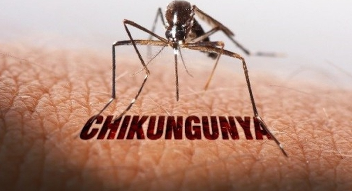 TP. HCM công bố kế hoạch phòng bệnh Chikungunya