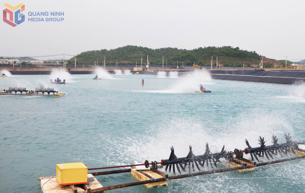 Khu vực ao nuôi tôm xã Hải Lạng hiện được ứng dụng công nghệ cao để nuôi tôm nhiều giai đoạn ngoài trời.