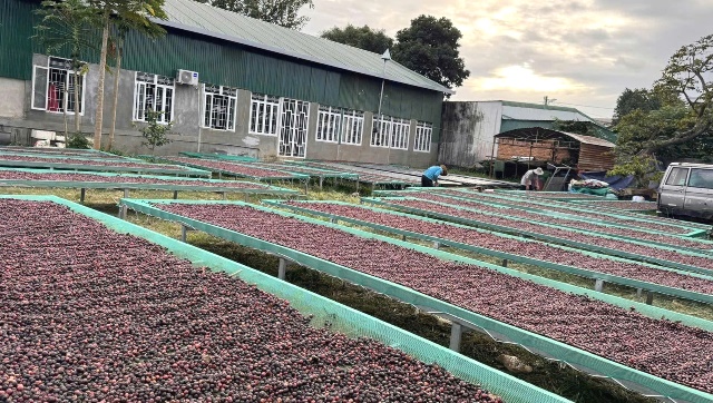 Đắk Lắk: Mục tiêu cuối năm 2030 có trên 29.000 doanh nghiệp