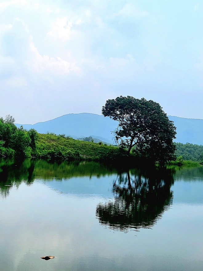 Người gieo mộng chè trên sóng nước hồ Ghềnh Chè Thái Nguyên