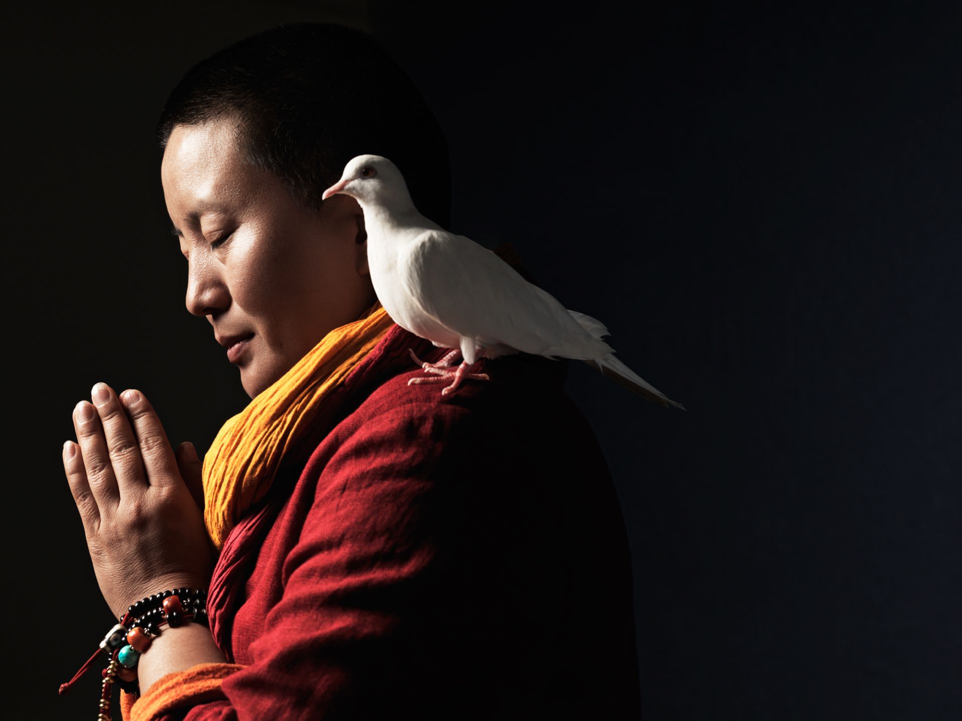 VPBank đồng hành cùng sự kiện âm nhạc với sự tham gia của nghệ sĩ Ani Choying Drolma