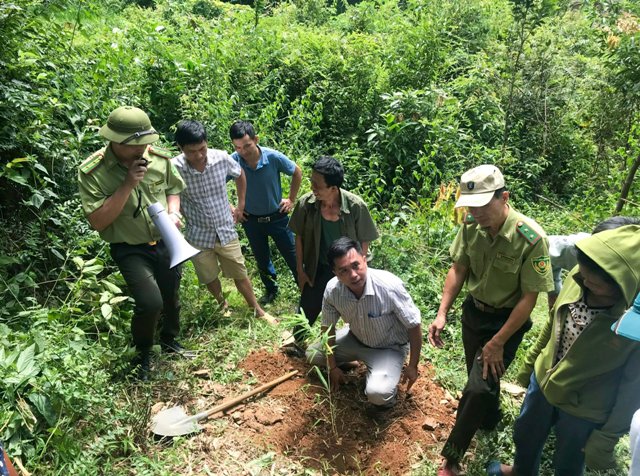 Nghệ An phê duyệt danh sách cộng đồng dân cư được thụ hưởng nguồn thu giảm phát thải khí nhà kính