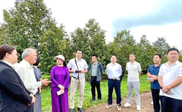 Gia Lai: Đoàn doanh nghiệp Trung Quốc khảo sát một số vùng nguyên liệu nông sản