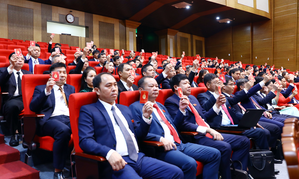 Đại biểu biểu quyết thông qua Nghị quyết Đại hội.