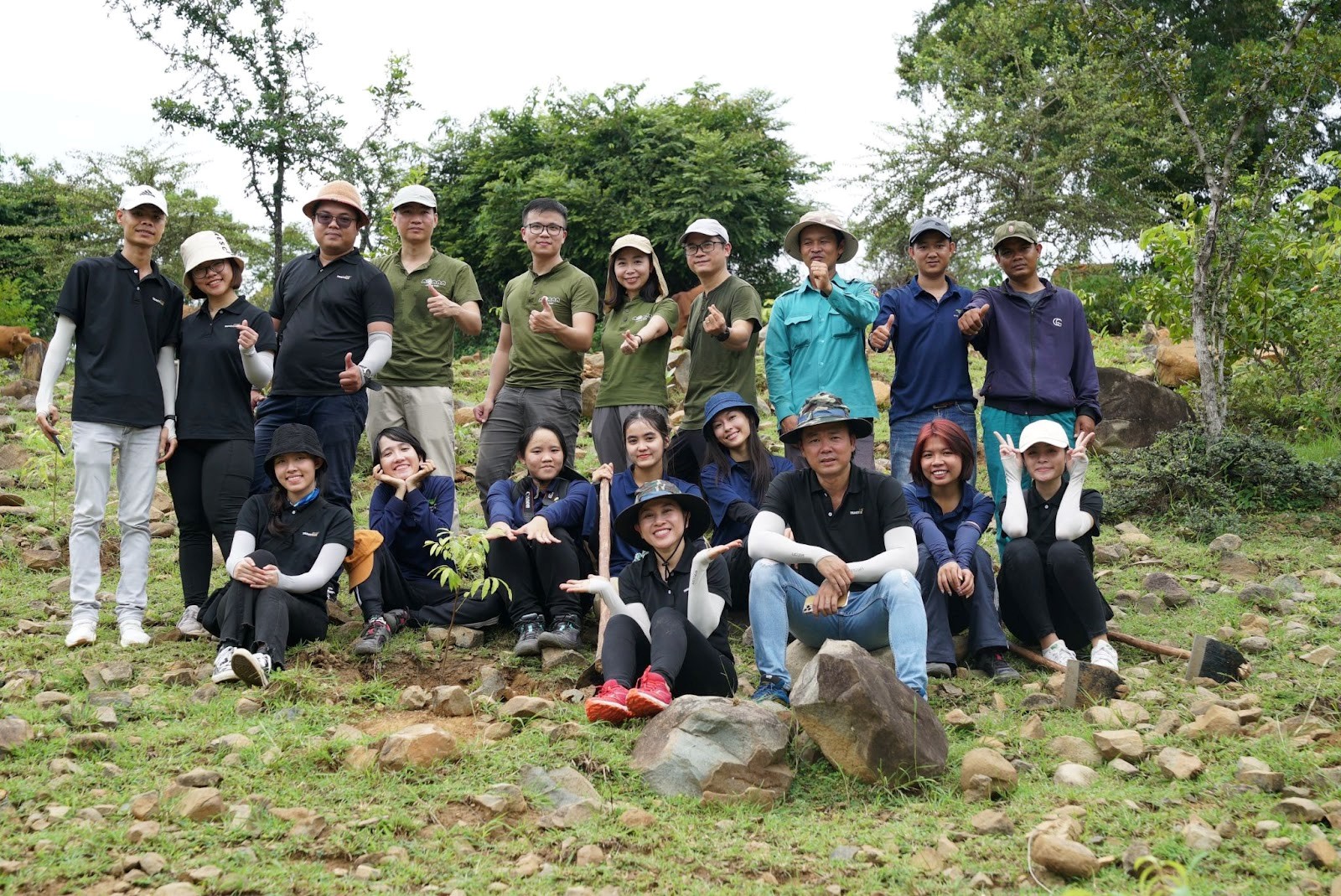 Dự án Rừng An Lành 2022 Dự án Rừng An Lành 2022