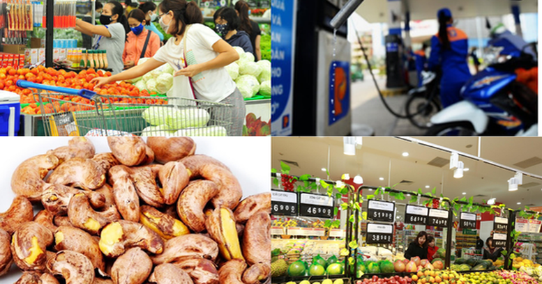 Bộ Tài chính đề xuất sửa đổi, bổ sung một số điều của Luật Giá. Ảnh VGP.