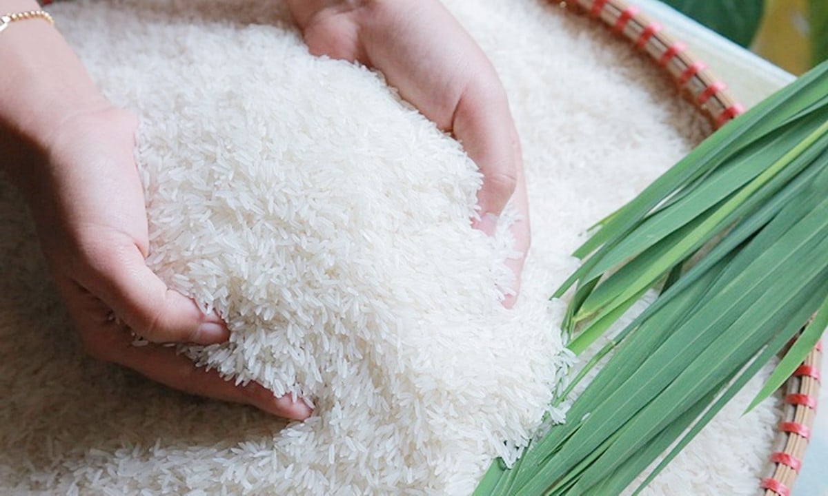 Giá lúa gạo hôm nay ngày 19/8: Giá lúa gạo trong nước bình ổn, gạo xuất khẩu tiếp đà tăng. (Ảnh minh họa) Giá lúa gạo hôm nay ngày 19/8: Giá lúa gạo trong nước bình ổn, gạo xuất khẩu tiếp đà tăng. (Ảnh minh họa)