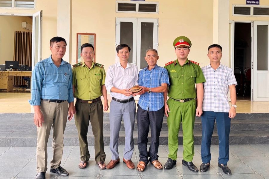 Ông Phan Quốc Thắng (thôn Cây Thị, xã Sơn Tây) bàn giao cá thể rùa hộp trán vàng.