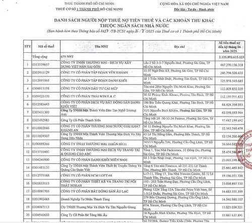 Một phần danh sách doanh nghiệp nợ thuế được công khai trên trang web của Thuế TP. HCM.
