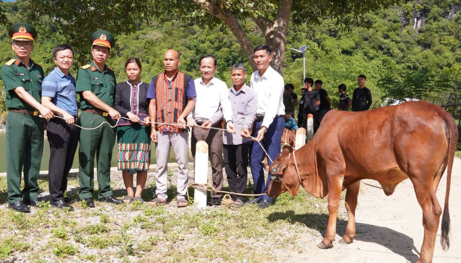 Trao tặng 40 con bò giống sinh sản cho người dân ở Quảng Trị